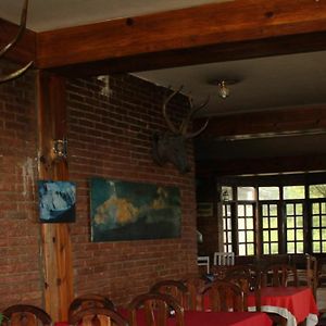 Niva Niwa Lodge